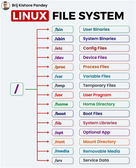 20 types of file to search