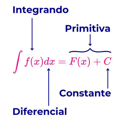 Alternativas para o resultado da integral indefinida