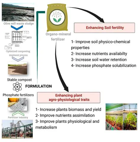 Analysis of Fertilizer Subsidized Policies
