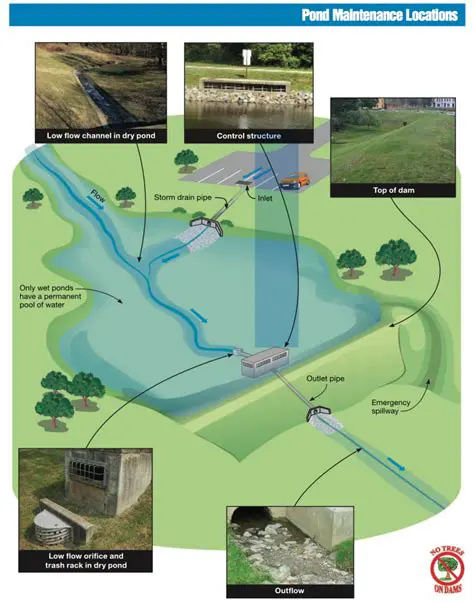 Analysis of Pond Management on Lake Siuro