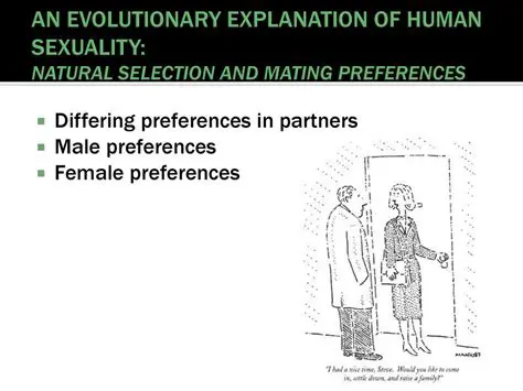 Analyzing Male Preferences