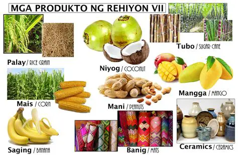 Ang mga Produkto ng Iyong Lungsod o Bayan