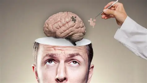 Answers the main questions in your mind
