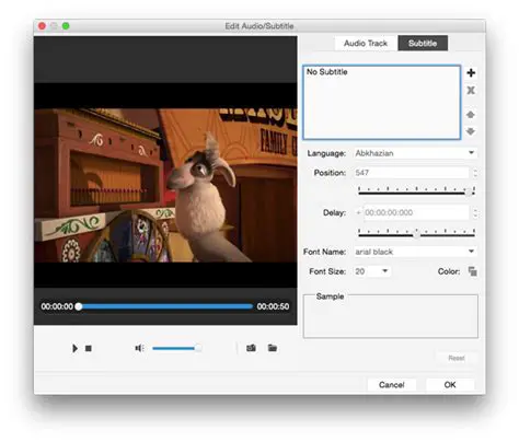 Audio Track and Subtitle Selecting Function