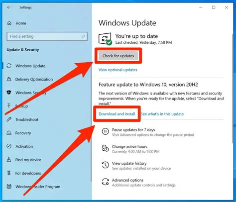 Automatic and Manual Updates