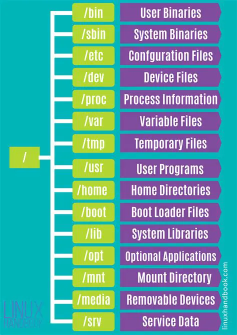 Automatic Directory and File Information
