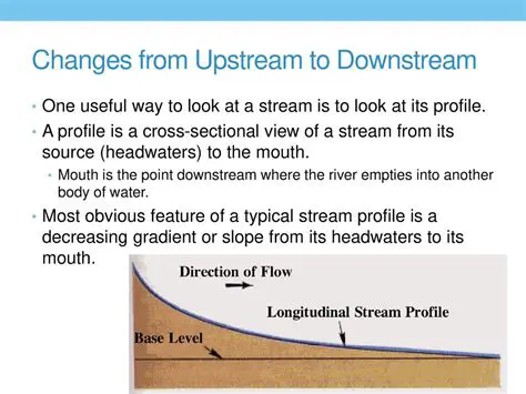 Changes to the Upstream Source