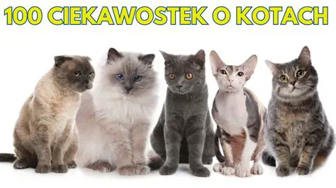 Ciekawe Fakty o Akwarystyce