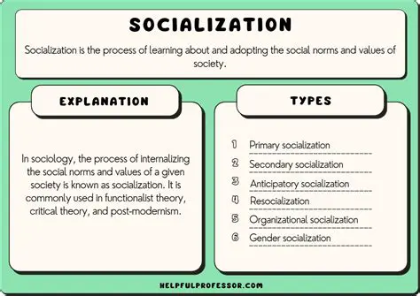 Conduct more intensive socialization