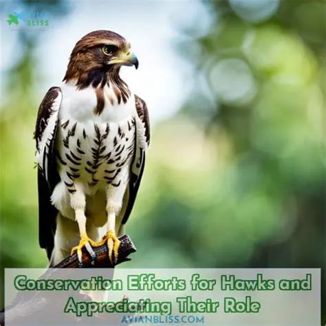 Conservation Efforts for Hawks and Swans