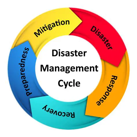 Development of Disaster Risk Mitigation Strategies