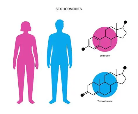 Diferencias sexuales en la forma de entrenar
