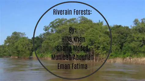 Distribution of Riverain Forests