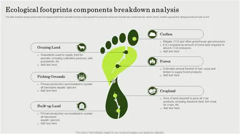 Ecological Analysis and Benefits