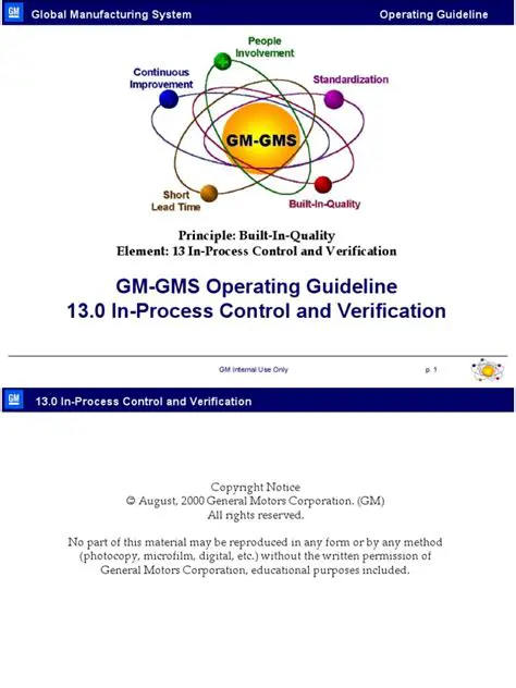 Electronic Verification of the GMS