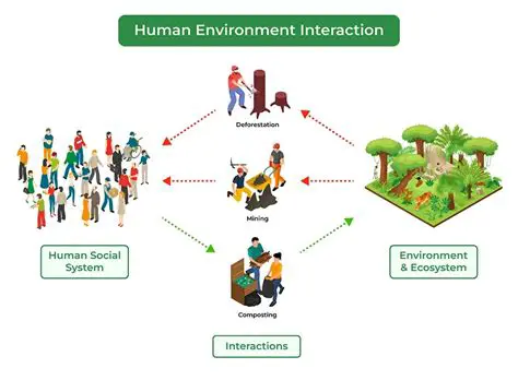 Environmental Interactions