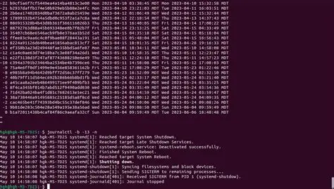 Error Logs or Terminal Output