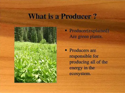 Examples of Producers in an Ecosystem