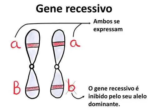 Exemplos de Alelos Recessivos