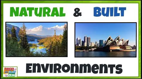 Explore different environments