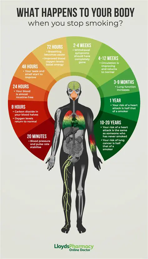 Features of the HotBounce No Smoking Screensaver