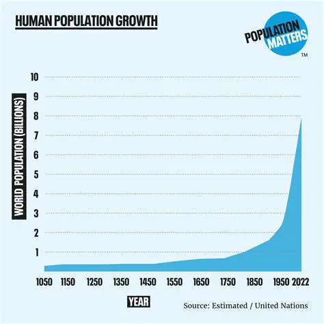 Finding the Population after 8 Hours