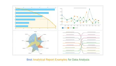 Generates full reports with statistics and recommendations