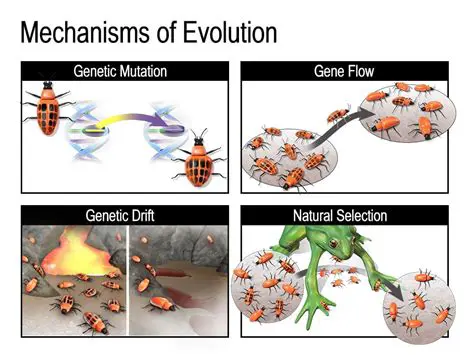 Genetic variation is the driving force behind evolution