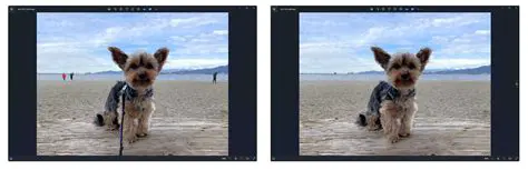 How to Use Windows Surface Scanner