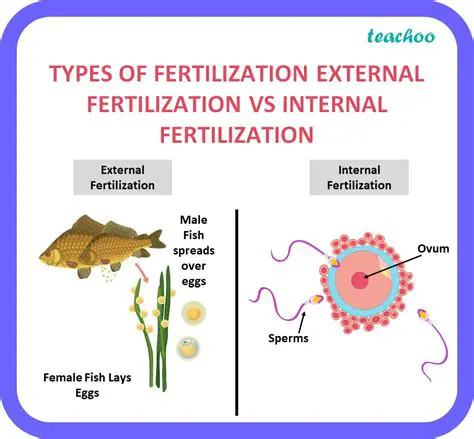 Identify differences in land productivity between the two types of plantations