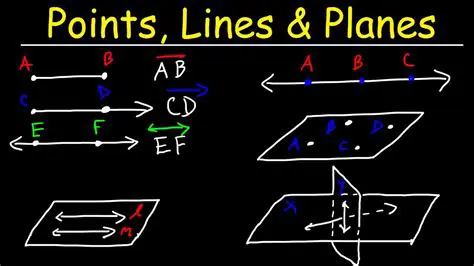 Identify the Lines or Planes