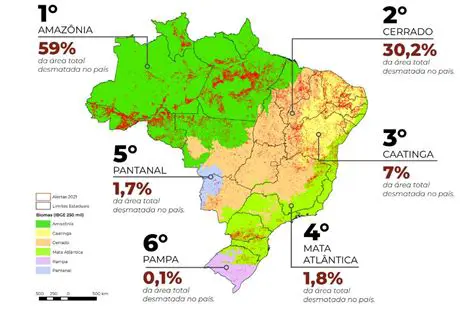 Impactos Ambientais nos Biomas Brasileiros