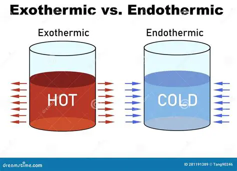 Indicators of Exothermic Reactions
