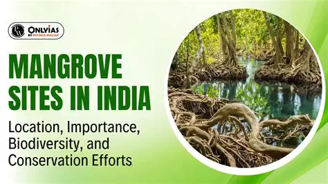 Integrate local cultural values in mangrove management