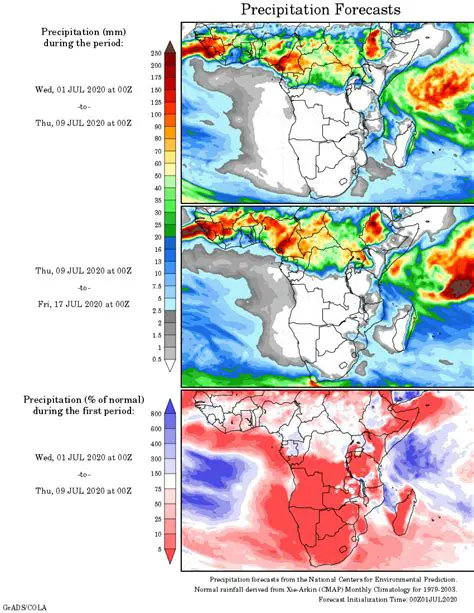 Interpreting Rainfall Forecasts
