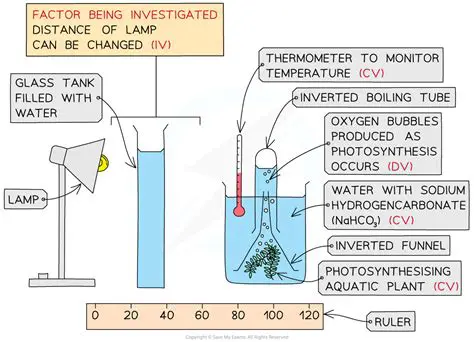 Investigate the Effects of Working Saturation