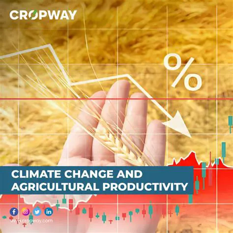 Investigating the Impact of Climate Change on Agricultural Productivity