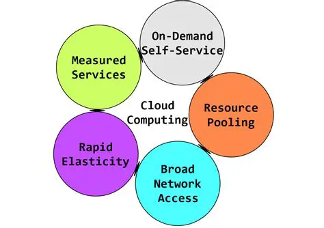 Key Characteristics of a Declarant