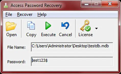 Key Features of Access Password Recovery Warrior