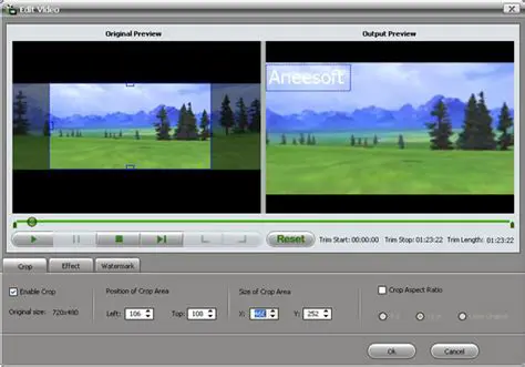 Key Features of Aneesoft HD Video Converter