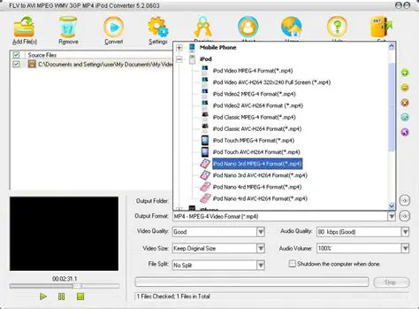 Key Features of AVI MPEG MOV RM WMV iPod MP4 Converter