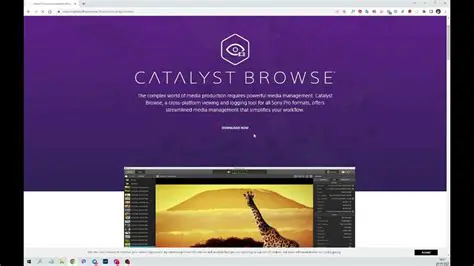 Key Features of Catalyst Browse