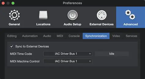Key Features of Cognitone Synfire Demo