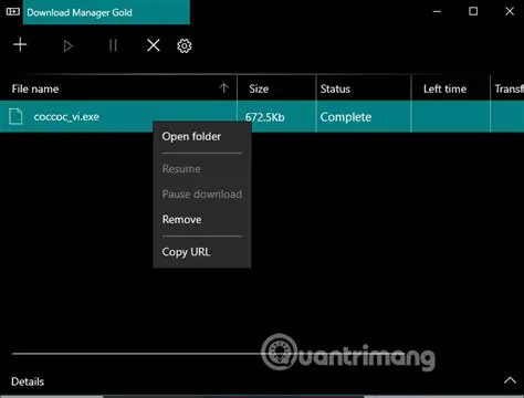 Key Features of Download Manager Gold