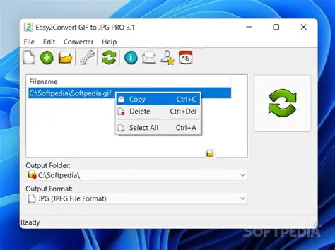 Key Features of Easy2Convert GIF to JPG PRO