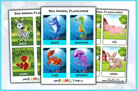 Key Features of FlashCards To Go