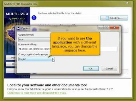 Key Features of Multilizer