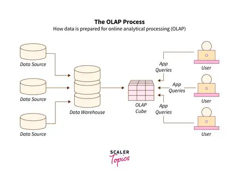 Key Features of OLAP Statistics and Reporting for Access