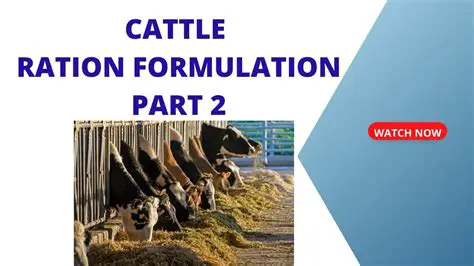 Key Features of Ration Mix