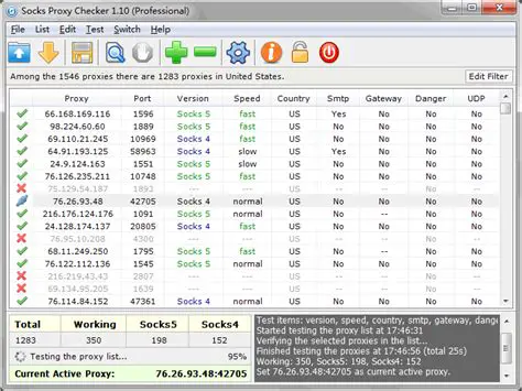 Key Features of Socks Proxy Checker Professional